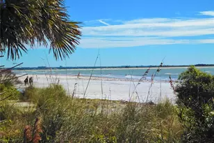 9 Forbes Pl, Dunedin, FL 34698 - Photo 34