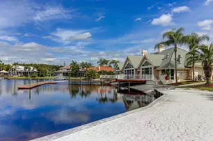 10411 Canary Isle Dr, Tampa, FL 33647 - Photo 40