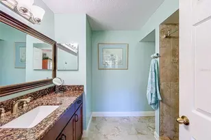 1722 Arabian Ln, Palm Harbor, FL 34685 - Photo 56