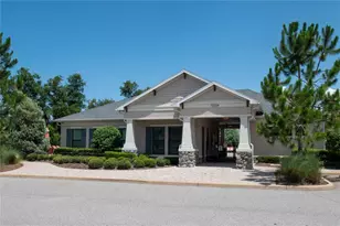 10202 Cool Waterlily Ave, Riverview, FL 33578 - Photo 16