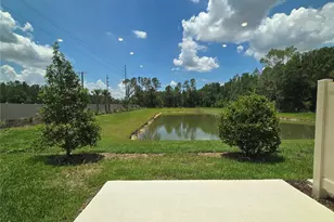 2073 Hallier Cv, Wesley Chapel, FL 33543 - Photo 34