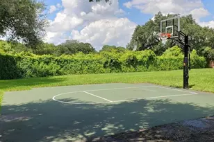 8412 Ridgebrook Cir, Odessa, FL 33556 - Photo 94