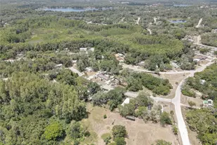 9501 Estelle St, New Port Richey, FL 34654 - Photo 54