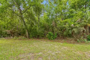 34534 Dellwood Way, Zephyrhills, FL 33541 - Photo 30