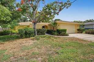 1100 Persimmon Dr, Palm Harbor, FL 34683 - Photo 34