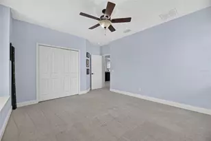 713 Islebay Dr, Apollo Beach, FL 33572 - Photo 68