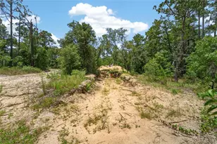 6144 Drew St, Brooksville, FL 34604 - Photo 36