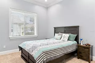 2208 Princess Julia Ln, Lutz, FL 33549 - Photo 52