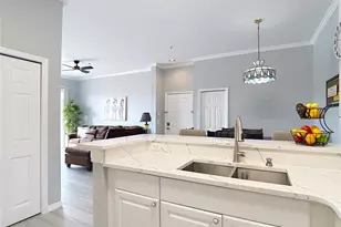 18107 Peregrines Perch Pl, Lutz, FL 33558 - Photo 12