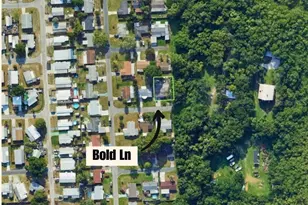 1650 Bold Ln, Holiday, FL 34691 - Photo 46