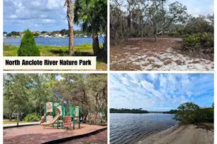 1650 Bold Ln, Holiday, FL 34691 - Photo 50
