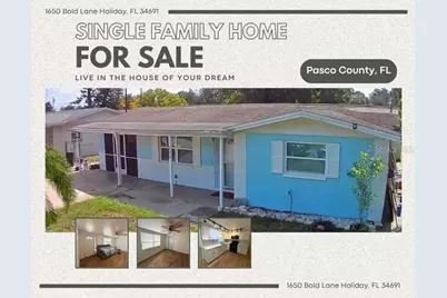 1650 Bold Lane, Holiday, FL 34691 - Photo 52