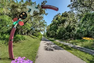 878 Rustic Oaks Dr, Palm Harbor, FL 34684 - Photo 62
