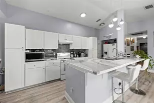 1335 15th St, Palm Harbor, FL 34683 - Photo 10