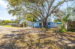 1335 15th St, Palm Harbor, FL 34683 - Photo 2