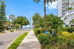 3420 S Carter St, Tampa, FL 33629 - Photo 2