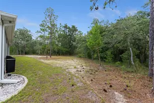 14610 Hidden Deer Trl, Brooksville, FL 34614 - Photo 68