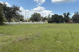3101 Bloomingdale Ave, Valrico, FL 33596 - Photo 28
