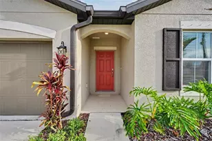 13456 Palmera Vista Dr, Riverview, FL 33579 - Photo 42