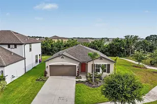 13456 Palmera Vista Dr, Riverview, FL 33579 - Photo 2