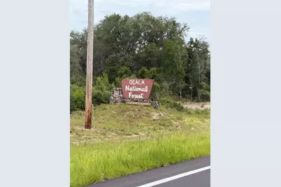 0 198th Lane, Fort Mc Coy, FL 32134 - Photo 14