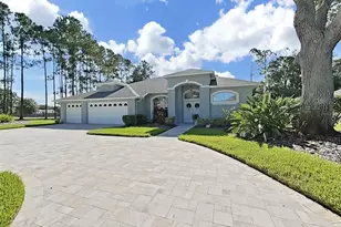 17110 Downs Dr, Odessa, FL 33556 - Photo 1