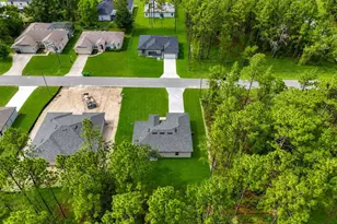 629 W Heronsbill Ln, Citrus Springs, FL 34434 - Photo 42