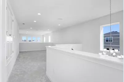28793 Sweet Persimmon Drive, Wesley Chapel, FL 33543 - Photo 18
