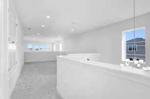 28793 Sweet Persimmon Dr, Wesley Chapel, FL 33543 - Photo 18