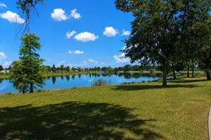 12020 Streambed Dr, Riverview, FL 33579 - Photo 44