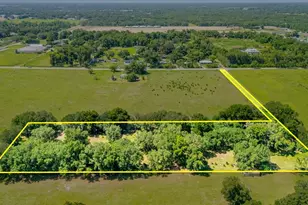 12616 Thonotosassa Rd, Thonotosassa, FL 33592 - Photo 48