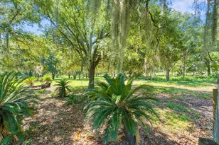 12616 Thonotosassa Rd, Thonotosassa, FL 33592 - Photo 38