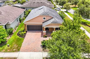17488 Terrazzo Way, Land O Lakes, FL 34638 - Photo 2