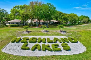 1743 Macdonnell Dr, Palm Harbor, FL 34684 - Photo 68