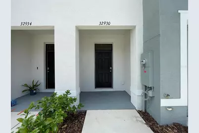 32930 Regent Canal Street, Wesley Chapel, FL 33545 - Photo 2
