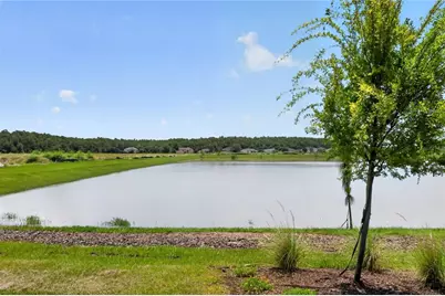 2525 Broadwing Street, Kissimmee, FL 34746 - Photo 30