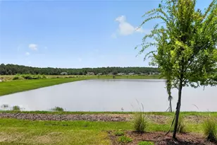 2525 Broadwing St, Kissimmee, FL 34746 - Photo 30