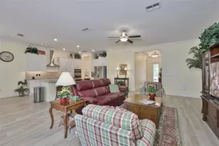 16955 Scuba Crest St, Wimauma, FL 33598 - Photo 8