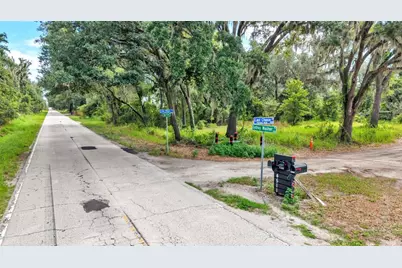 Sydney Washer Road, Dover, FL 33527 - Photo 2