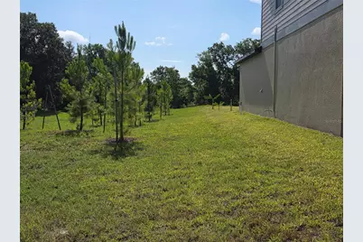 12588 Timber Moss Lane, Riverview, FL 33579 - Photo 18