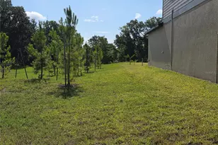 12588 Timber Moss Ln, Riverview, FL 33579 - Photo 18