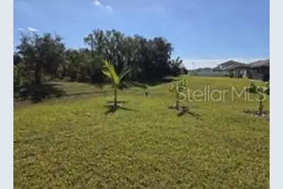 12588 Timber Moss Lane, Riverview, FL 33579 - Photo 14