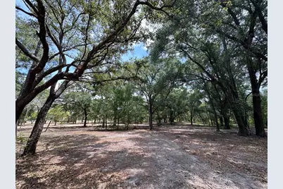 11000 Kitten Trail, Hudson, FL 34669 - Photo 16