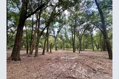 11000 Kitten Trail, Hudson, FL 34669 - Photo 16
