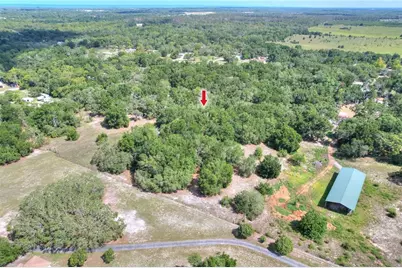 11000 Kitten Trail, Hudson, FL 34669 - Photo 8