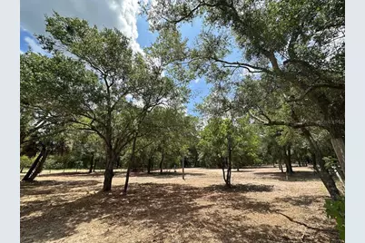 11000 Kitten Trail, Hudson, FL 34669 - Photo 4