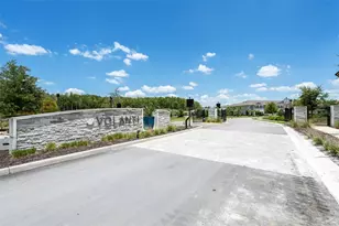 4366 Cloud Hopper Wy, Lutz, FL 33559 - Photo 28