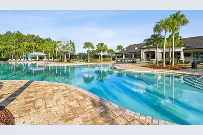 10742 New Morning Drive, Tampa, FL 33647 - Photo 44