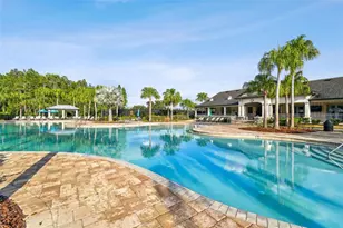 10742 New Morning Dr, Tampa, FL 33647 - Photo 44