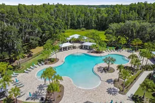 10742 New Morning Dr, Tampa, FL 33647 - Photo 42